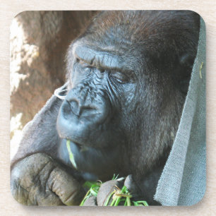 Porta-copo Ape hood ~ Japonês Gorilla Coming