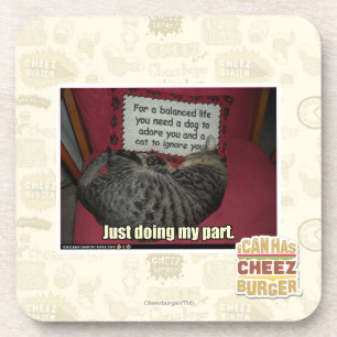 Porta-copo Apenas fazendo minha divisória