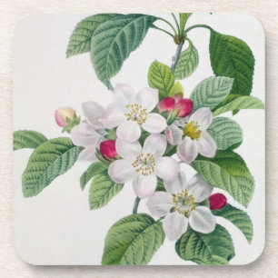 Porta-copo Apple floresce, 'do DES de Les Choix mais Belles