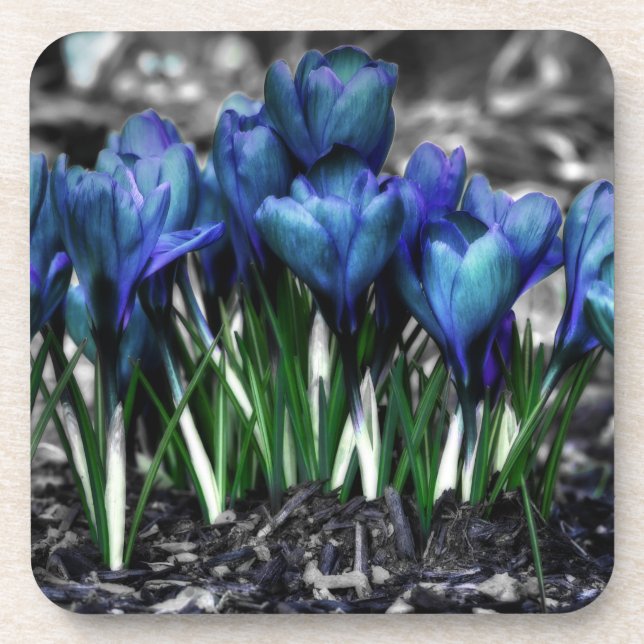 Porta-copo Aqua Blue Crocus Blooms (Frente)