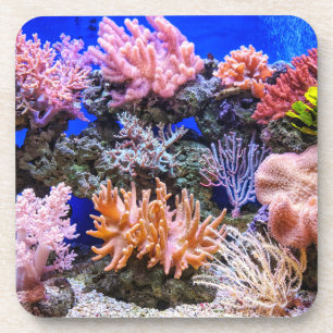 Porta-copo Aquário de água salgada - recife de coral