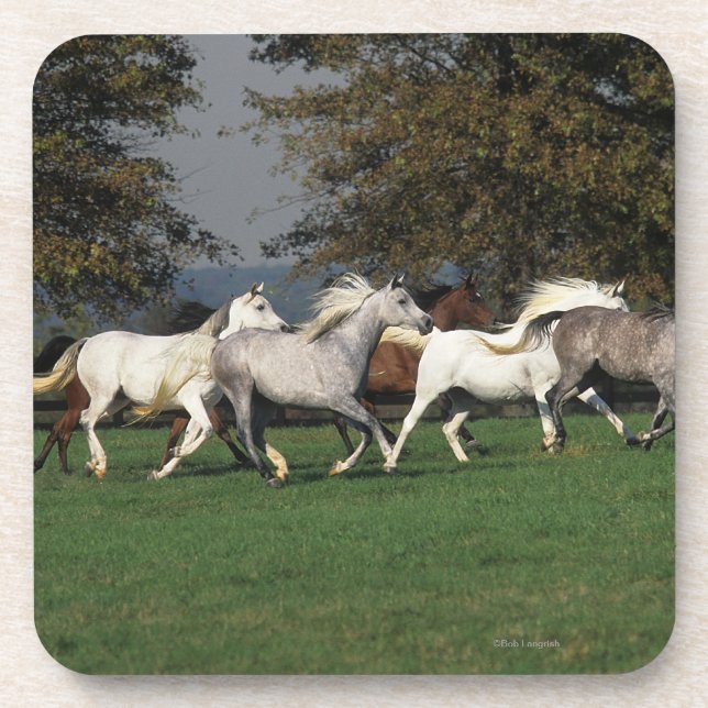 Porta-copo Árabes que funcionam no campo (Frente)