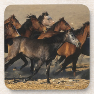 Porta-copo Árabes que funcionam no deserto