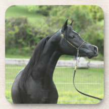 Arabian do preto em portas copos