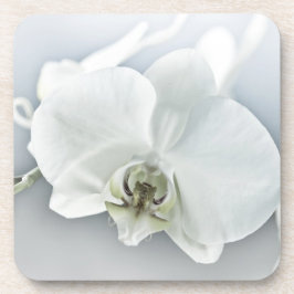 Porta-copo Arte Botânica de Orquídea Branca Elegante