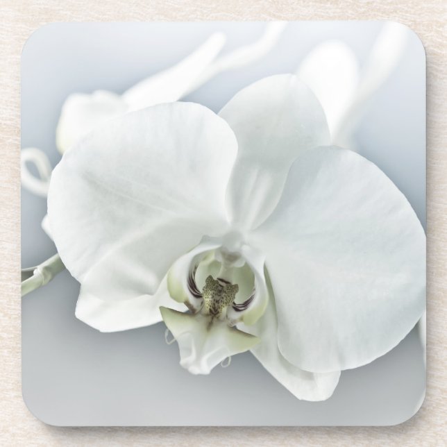 Porta-copo Arte Botânica de Orquídea Branca Elegante (Frente)