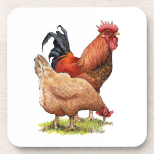 Porta-copo Arte de Frango e Galo, Aves, Animais de Fazenda