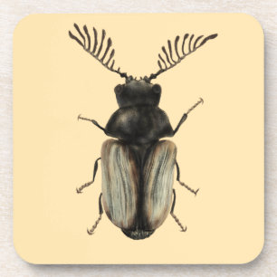 Porta-copo Arte Insect Lover: Besouro Legal