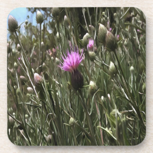 Porta-copo Arte Realista Roxo Thiste Wildflower
