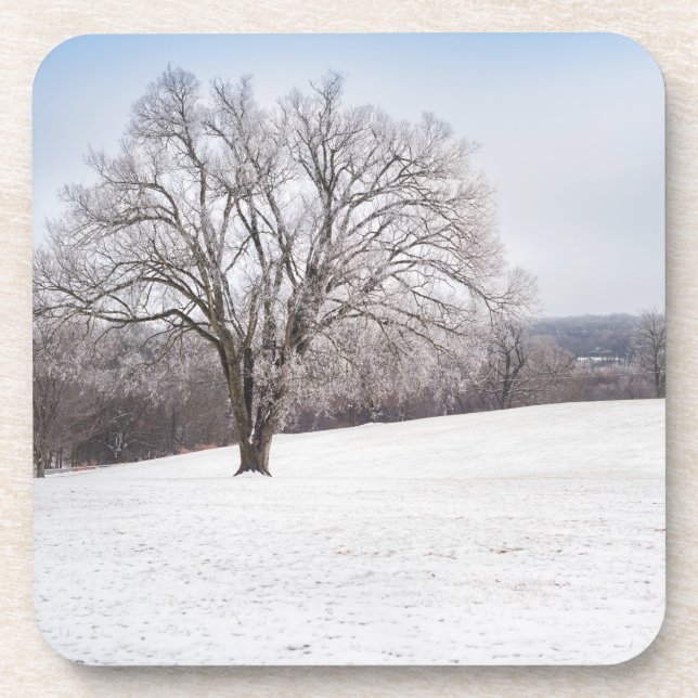 Porta-copo Árvore de inverno (Frente)