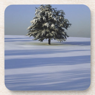 Porta-copo Árvore na paisagem coberto de neve