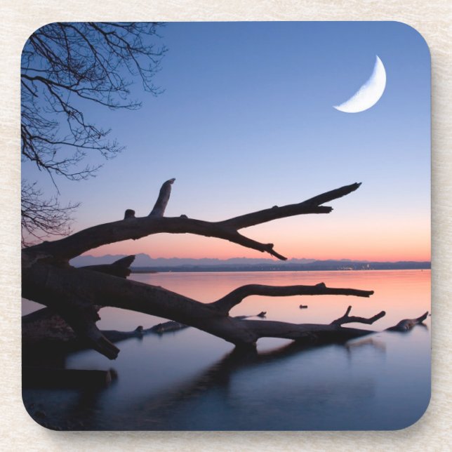 Porta-copo Árvore no lago de Starnberg | Muensing Bavaria Ale (Frente)