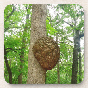 Porta-copo Árvores com a grande colmeia incluida da vespa da