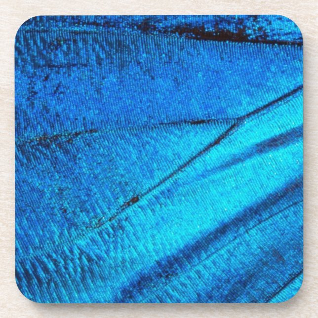 Porta-copo Asa Azul Iridescente da Borboleta (Frente)