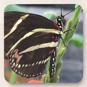 Porta-copo Asas de borboleta amarela e preta