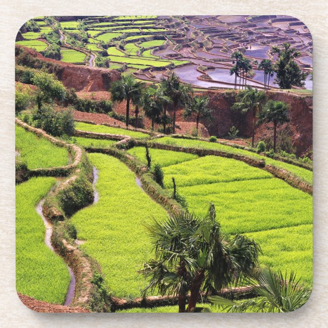 Porta-copo Ásia, China, Yunnan, Honghe.  Rice terraços perto  (Frente)