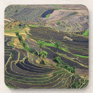 Porta-copo Ásia, China, Yunnan, Honghe. Terraços de arroz per
