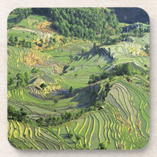 Porta-copo Ásia, China, Yunnan, Yuanyang. Padrão de verde