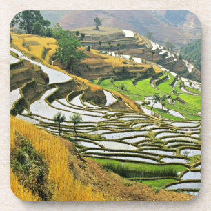 Porta-copo Ásia, China, Yunnan, Yuxi; Yuanjiang.