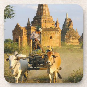 Porta-copo Ásia, Mianmar (Birmânia), Bagan (Pagan). Uma carro