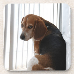 Porta-copo atitude do beagle