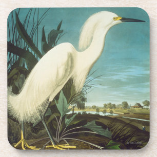 Porta-copo Áudio: Egret