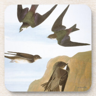 Porta-copo Audubon: Andorinhas