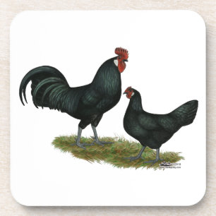 Porta-copo Augsberger Chickens