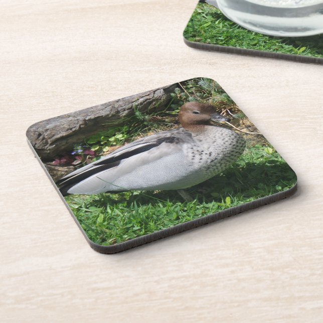 Porta-copo Australian Wood Duck in Tranquil Garden (Left Side)