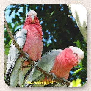 Porta-copo Australiano Galah - Cockatoo róseo