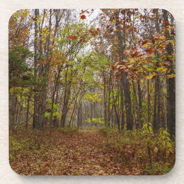 Porta-copo Autumn Bliss (Frente)