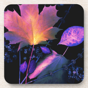 Porta-copo Autumn Leaves em Neon