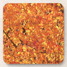 Autumn Leaves na árvore - fotografia.