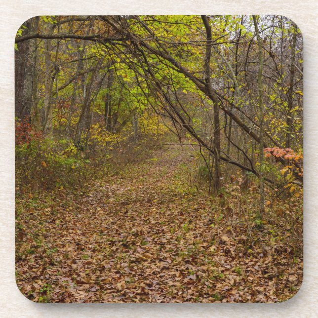 Porta-copo Autumn Walkway (Frente)