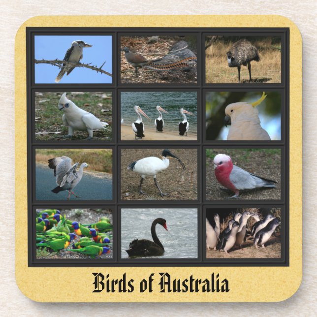 Porta-copo Aves australianas (Frente)