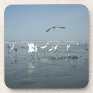 Porta-copo Aves brancas alimentam hakuna matata.JPG