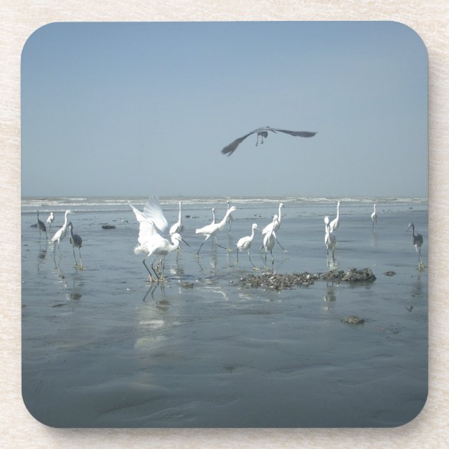 Porta-copo Aves brancas alimentam hakuna matata.JPG (Frente)