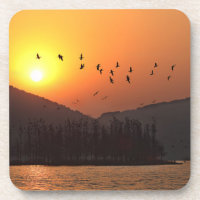 Aves voando em Céu Sunset sobre lago Leste