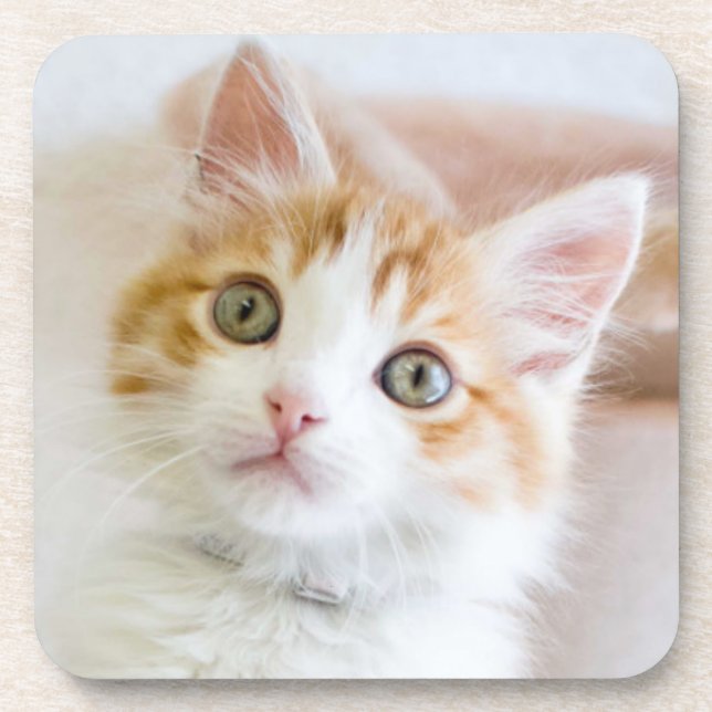 Porta-copo Azul doce gatinho Eyed (Frente)