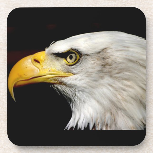 Porta-copo Bald Eagle (Frente)