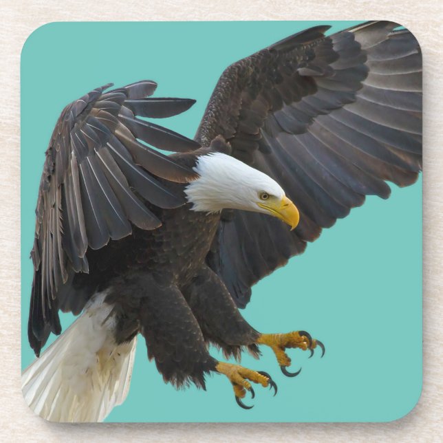 Porta-copo Bald eagle (Frente)