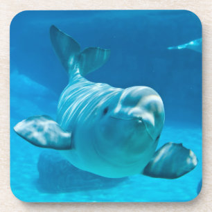 Porta-copo Baleia da beluga