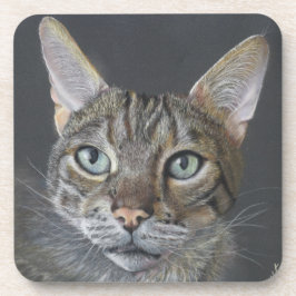 Porta-copo Bandeja para gato bengala