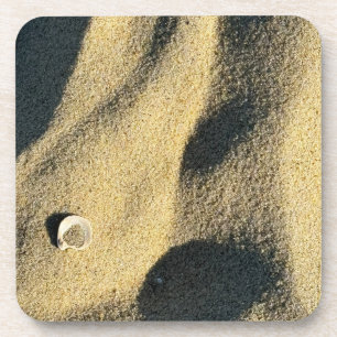 Porta-copo Bandejas de Fotos de Areia de Praia e Conchas