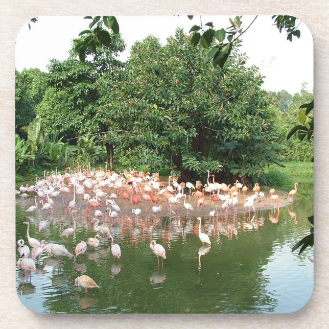 Porta-copo bando de flamingos (Frente)