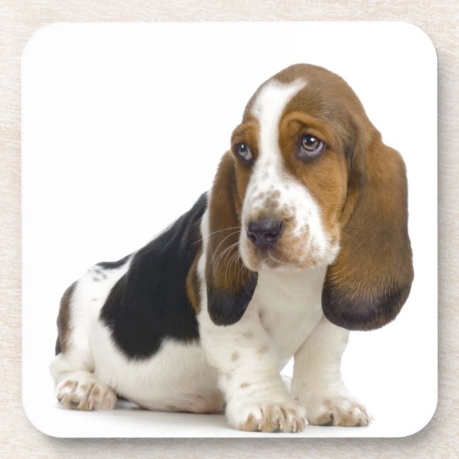 Porta-copo Basset Hound (Frente)