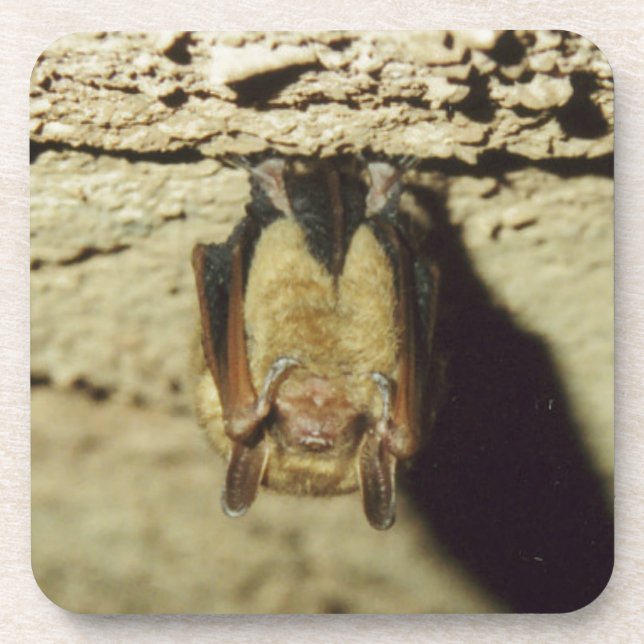 Porta-copo Bat (Frente)