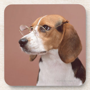 Porta-copo Beagle