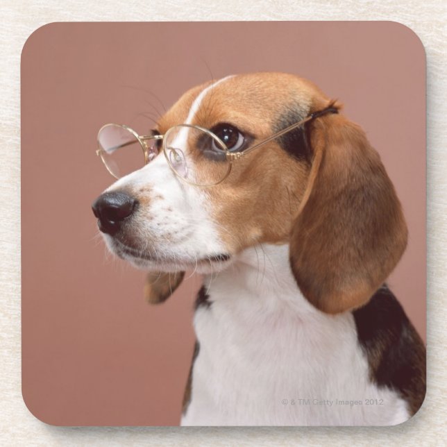 Porta-copo Beagle (Frente)