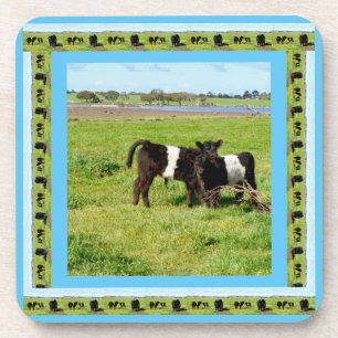 Porta-copo Bebê Belado Vacas Galloway,
